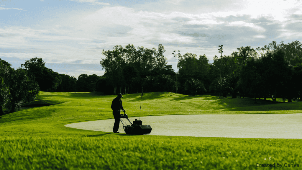 Service and Maintenance