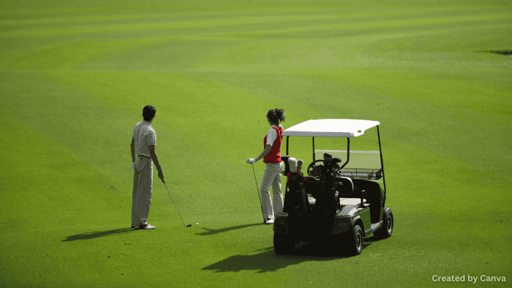 What Are Push Golf Trolleys?