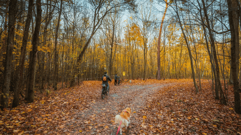 Walking vs Riding: Which Improves Your Game?