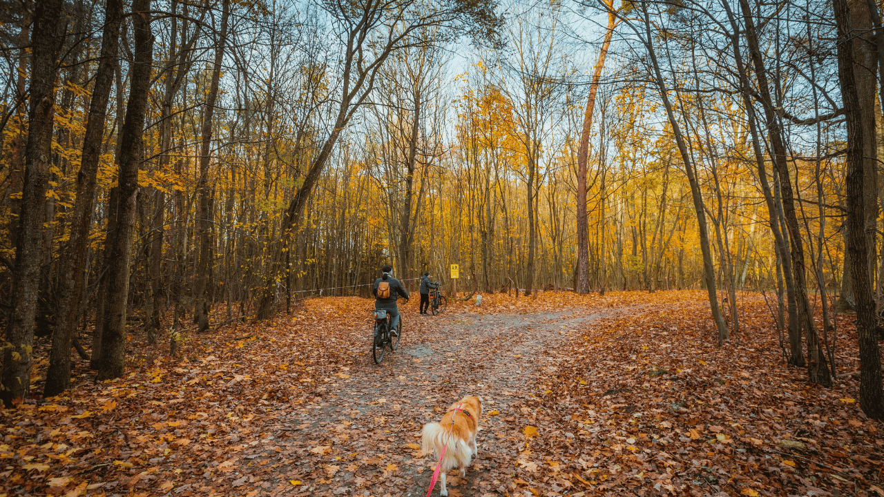 Walking vs Riding: Which Improves Your Game?