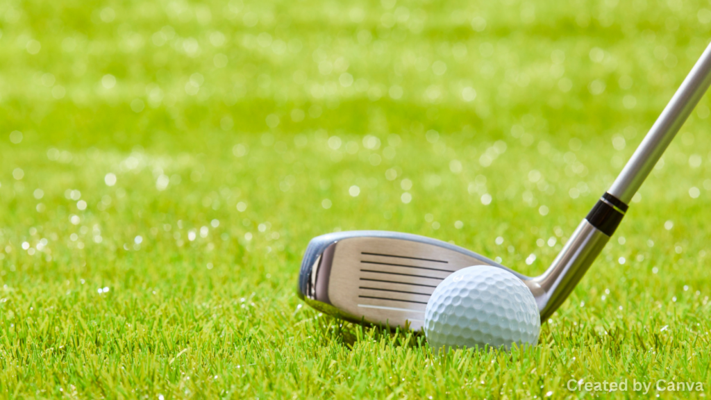 Choose a ball that works well with the conditions on your course and how you play