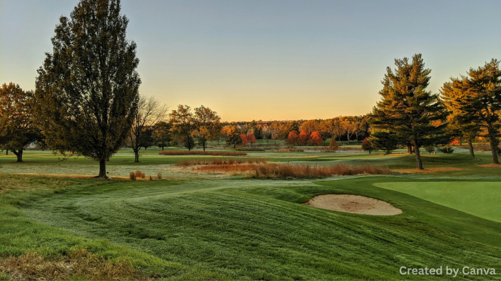 Top 5 Golf Courses Near Dungeness for Players to Explore