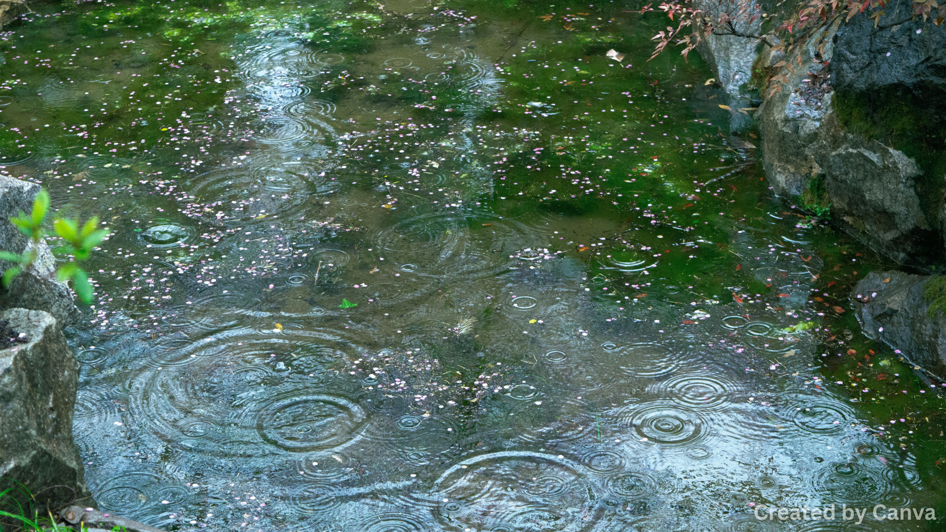 Top Tips for Golfing in the Rain in Dungeness