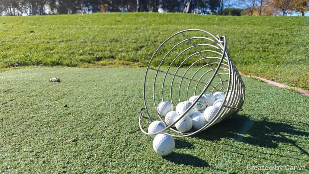 Walking Courses for Better Fitness