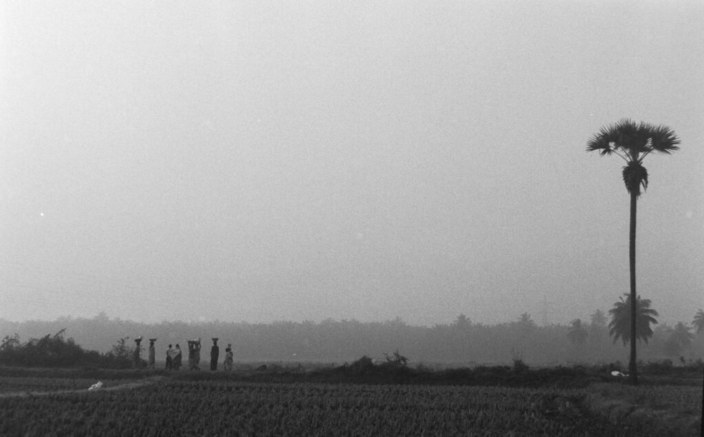 A group of golfers discussing strategy while in fog, highlighting communication and teamwork in foggy weather. — golfing…