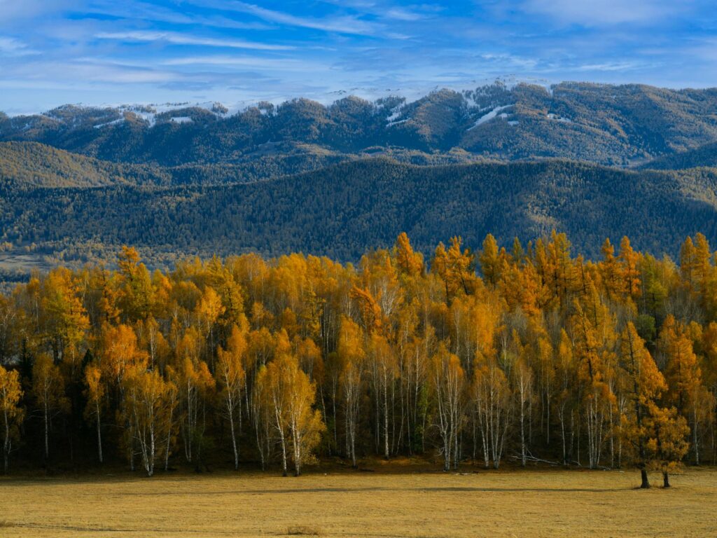 A panoramic view of Aspen Glen Club with mountains in the background showcasing its elevation — best high altitude golf …