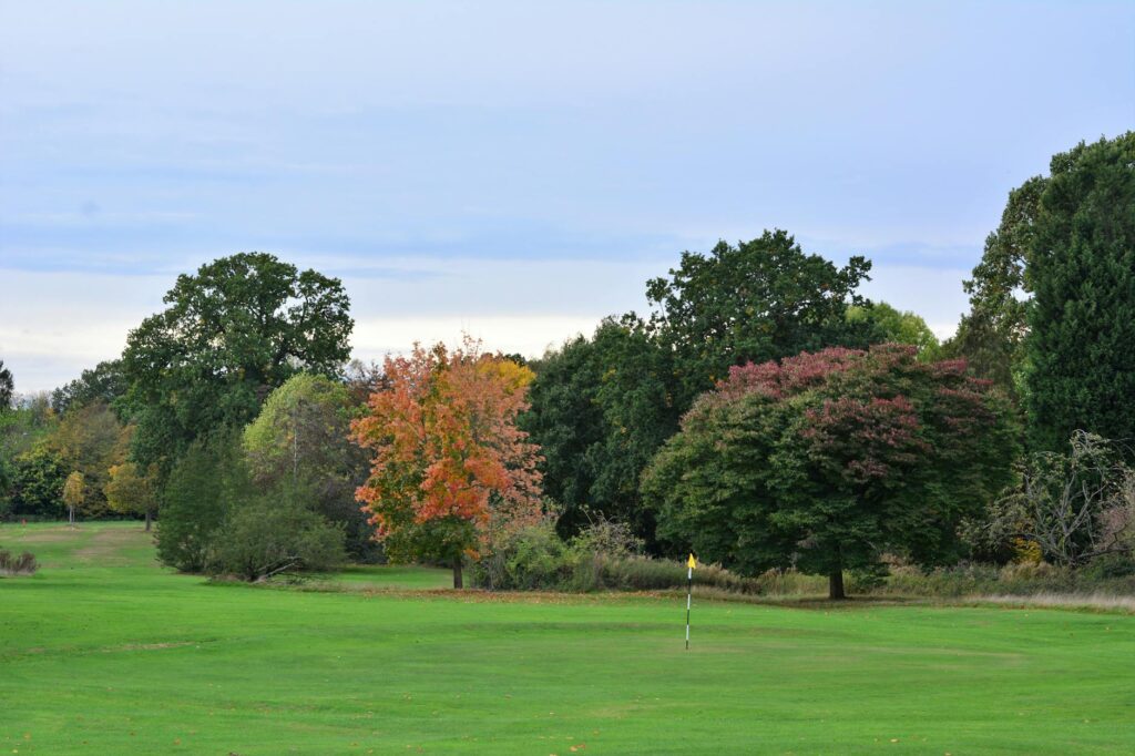 A picturesque autumn landscape on a Dungeness golf course with colorful leaves. — best time to play golf Dungeness