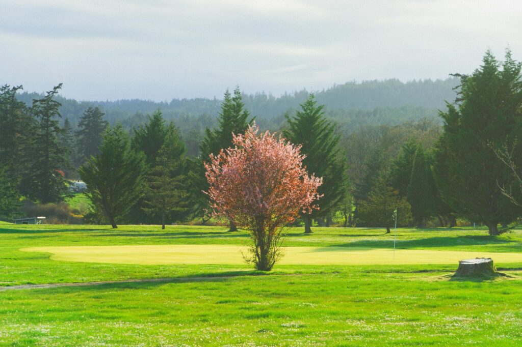 A scenic view of a golf course in Dungeness during spring with blooming flowers. — best time to play golf Dungeness