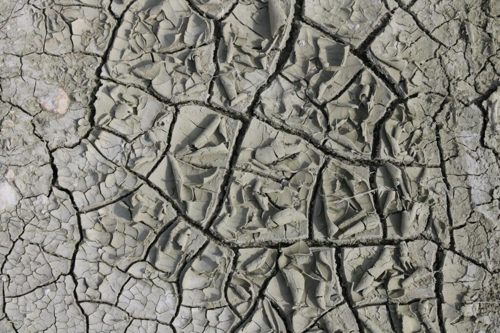 A weather chart illustrating Dungeness climate patterns throughout the year. — best time to play golf Dungeness