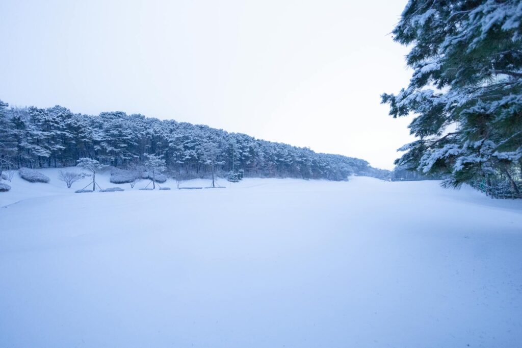 A winter scene showing the Dungeness golf course covered in snow, illustrating the off-season. — best time to play golf …