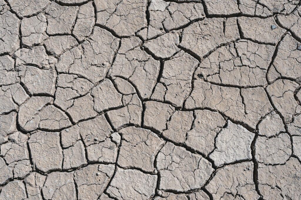An infographic showing signs of dehydration. — stay hydrated golfing heat