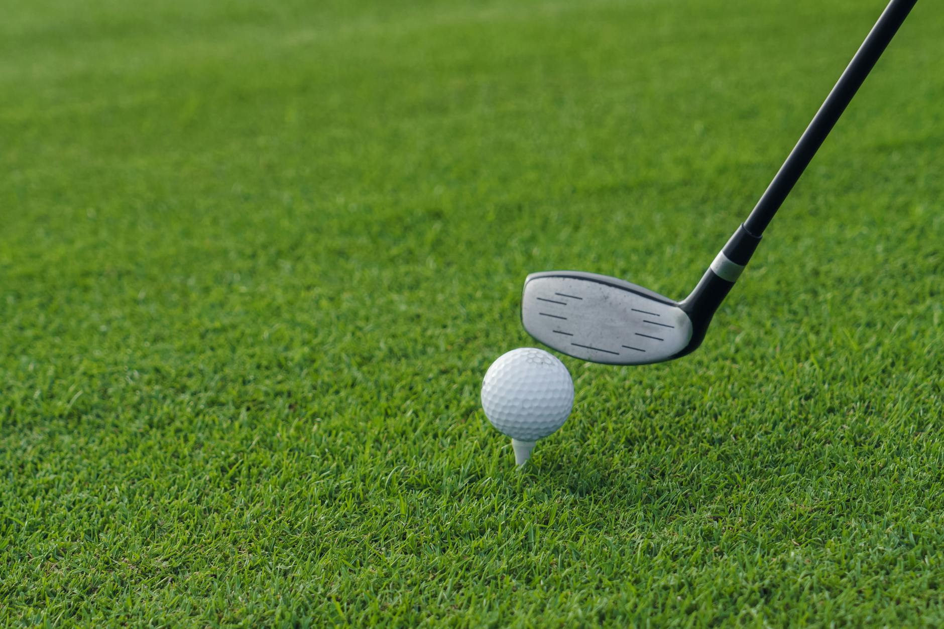 Dungeness Golf tee times