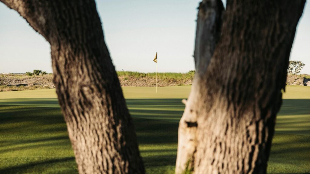 Close-up of the unique natural elements that define the Dungeness course. — Dungeness Golf features