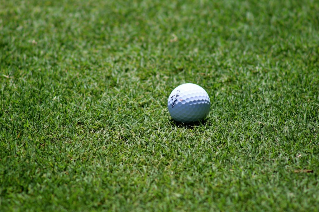 A close-up of a golf ball on a Dungeness fairway, showcasing playing conditions. — golf club selection Dungeness