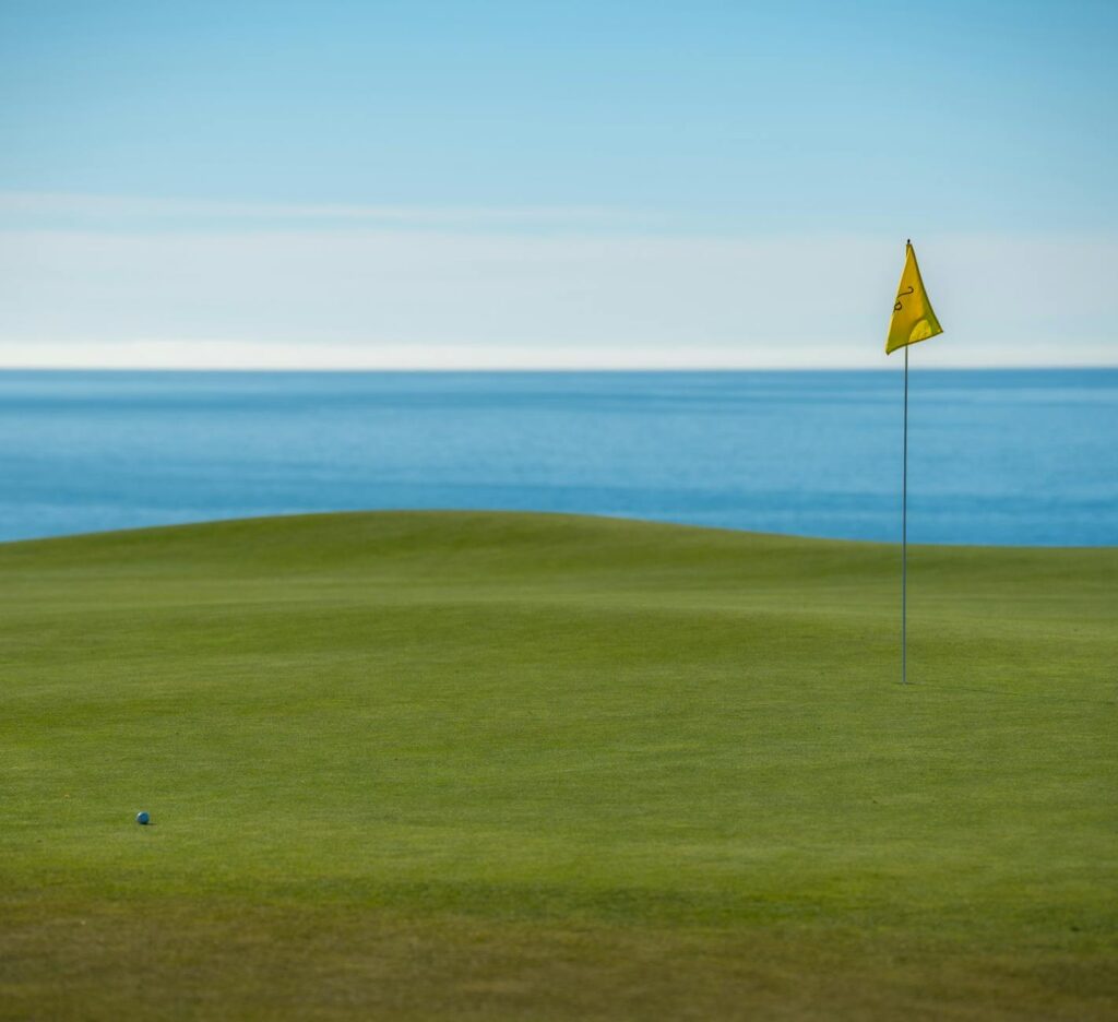 A panoramic view of the Dungeness golf course with the sea in the background. — history of golf Dungeness