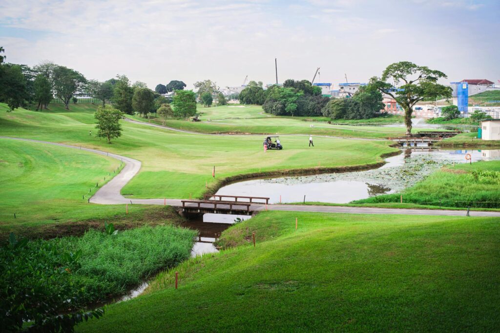 A scenic view of a Dungeness golf course, showcasing its beginner-friendly features. — Dungeness golf courses for beginners