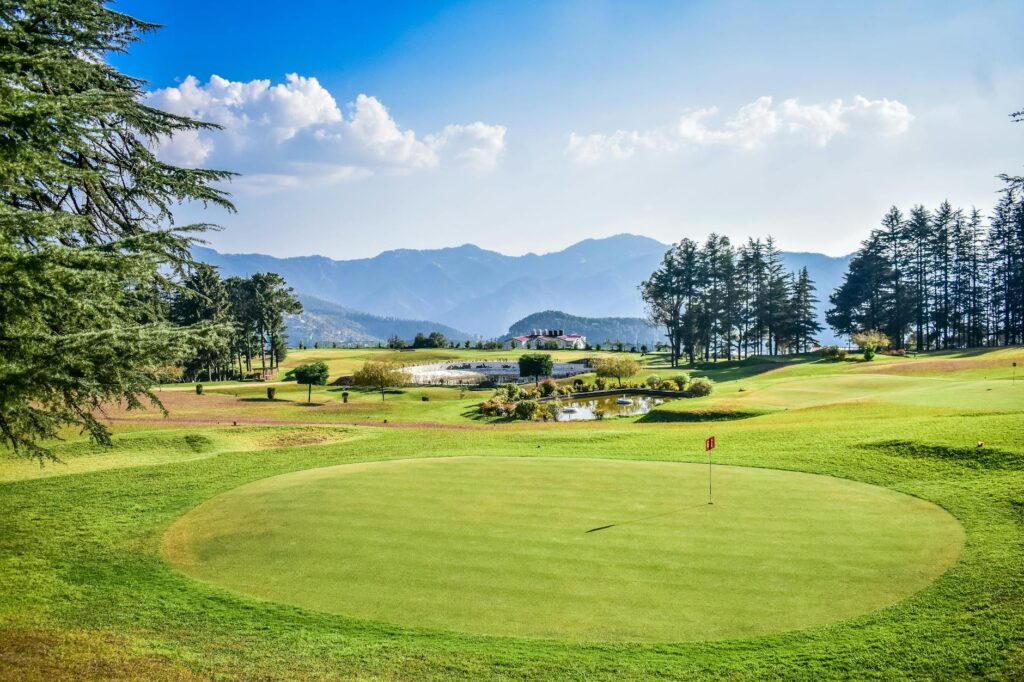 A scenic view of the Dungeness golf course during a sunny day. — Dungeness golf experience