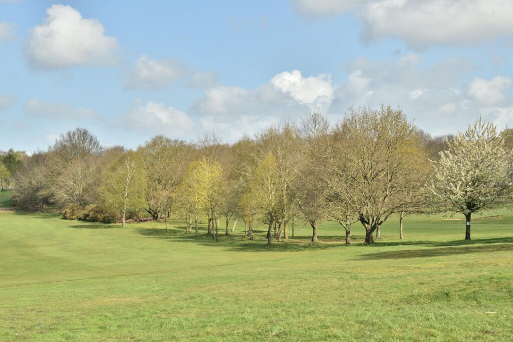 A scenic view of the Dungeness golf course in springtime with blooming flowers. — best times to play Dungeness Golf