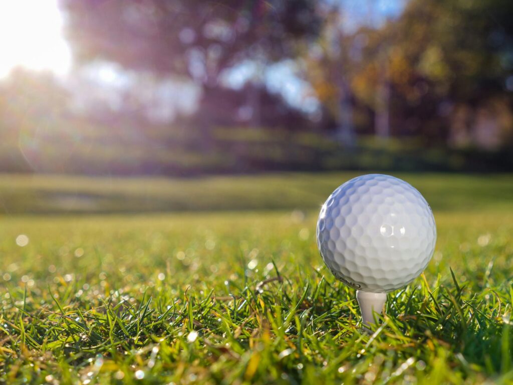 Close-up of a golf ball on a tee at a Dungeness course — public golf courses Dungeness