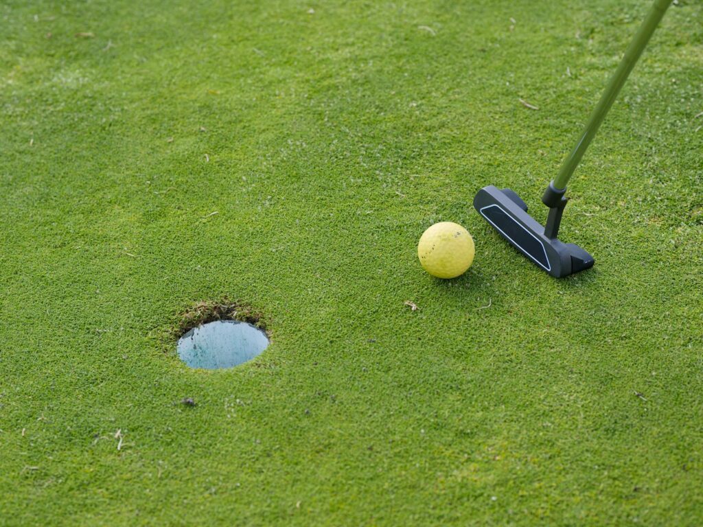 Practice putting green at Dungeness Golf Course, ideal for warming up. — Dungeness Golf Course features