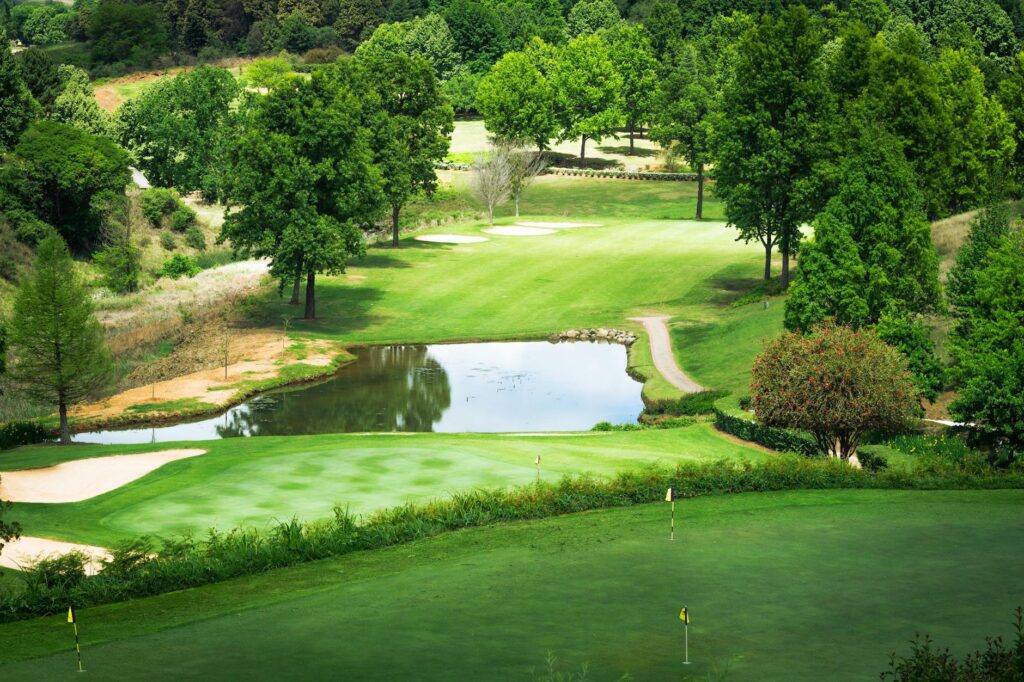 Scenic view of a golf course with wildlife grazing nearby, showcasing South Africa's natural beauty. — best golf courses…