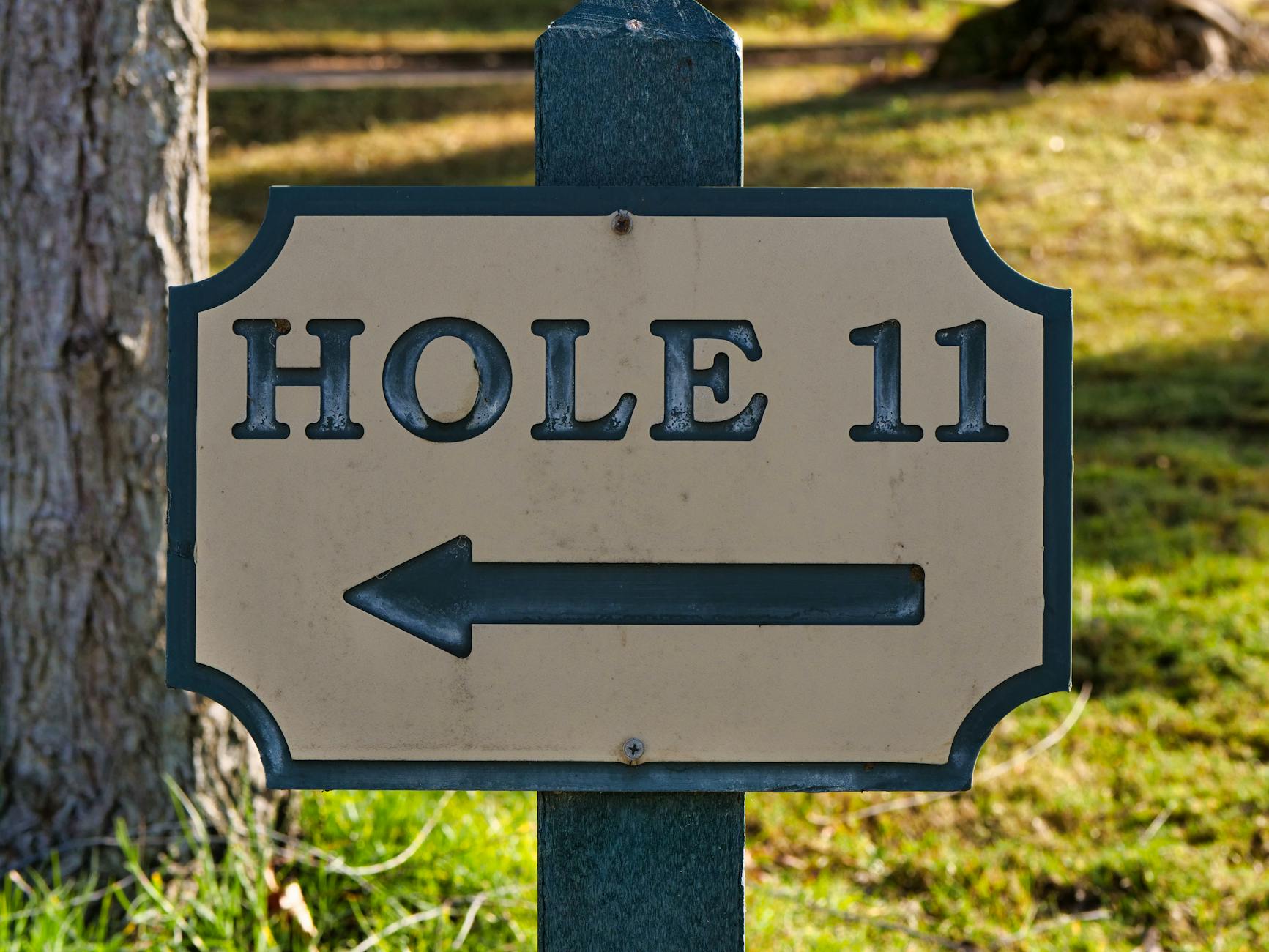 beginner golf guide
