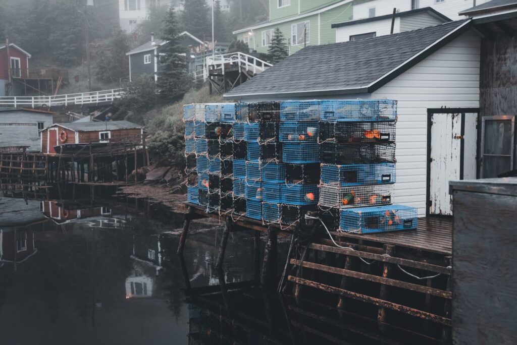 A demonstration of proper equipment storage for coastal weather — golf equipment Dungeness