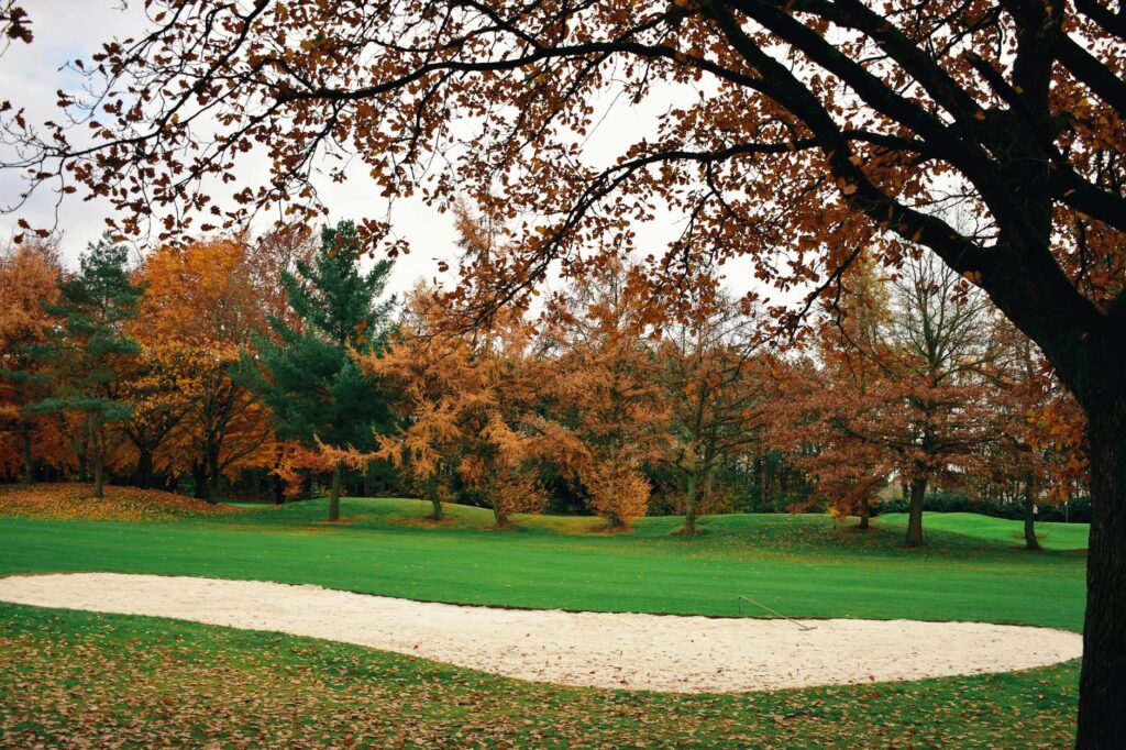 A scenic shot of autumn leaves surrounding a fairway in Dungeness. The best time to play golf in Dungeness highlights the beauty of the course during the fall season.