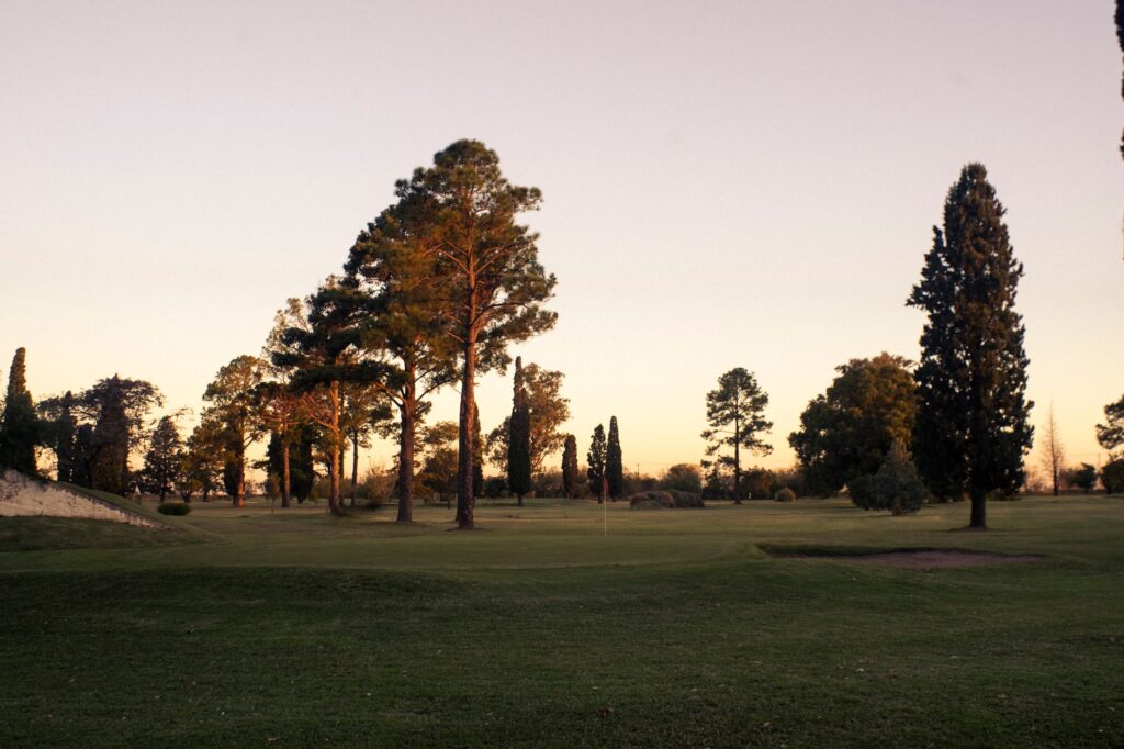 Dungeness Pines Golf Course surrounded by lush pines. — golf courses in Dungeness