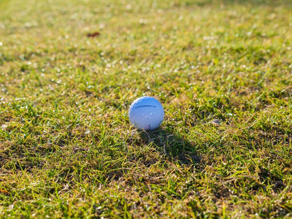 Dungeness wildlife golf
