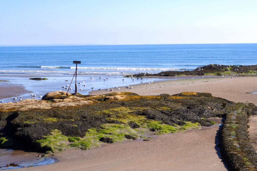 Golfers enjoying a round at the iconic St. Andrews Links in Scotland. — best golf courses