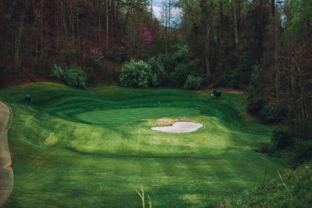 The lush landscape surrounding Salish Cliffs Golf Club, showcasing its natural beauty. — scenic golf courses washington