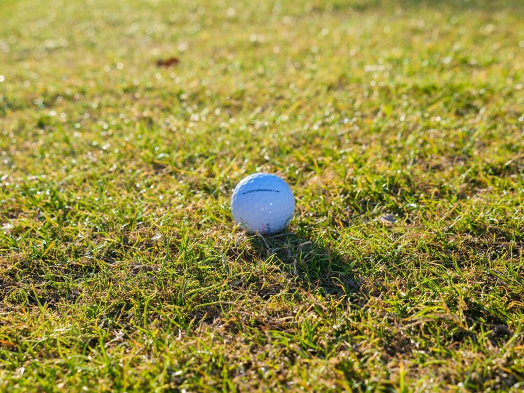 Wildlife spotted on the lush fairways of Dungeness Bay Golf Course. — Dungeness golf courses