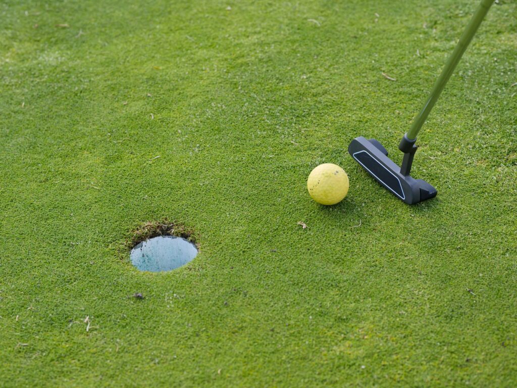 A close-up of the putting greens, highlighting the quality of the course's maintenance. — visiting Dungeness golf course