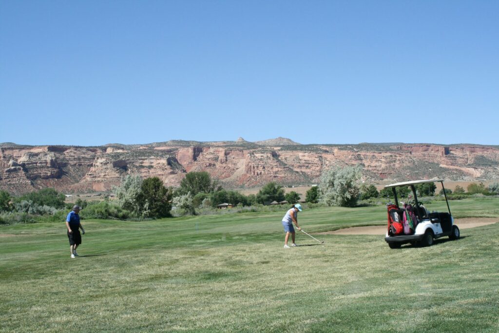 A group of amateur golfers competing in a local tournament. — become pro golfer