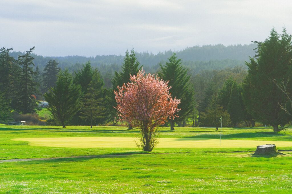 A scenic view of Dungeness golf course in spring with blooming flowers — best time to visit Dungeness golf