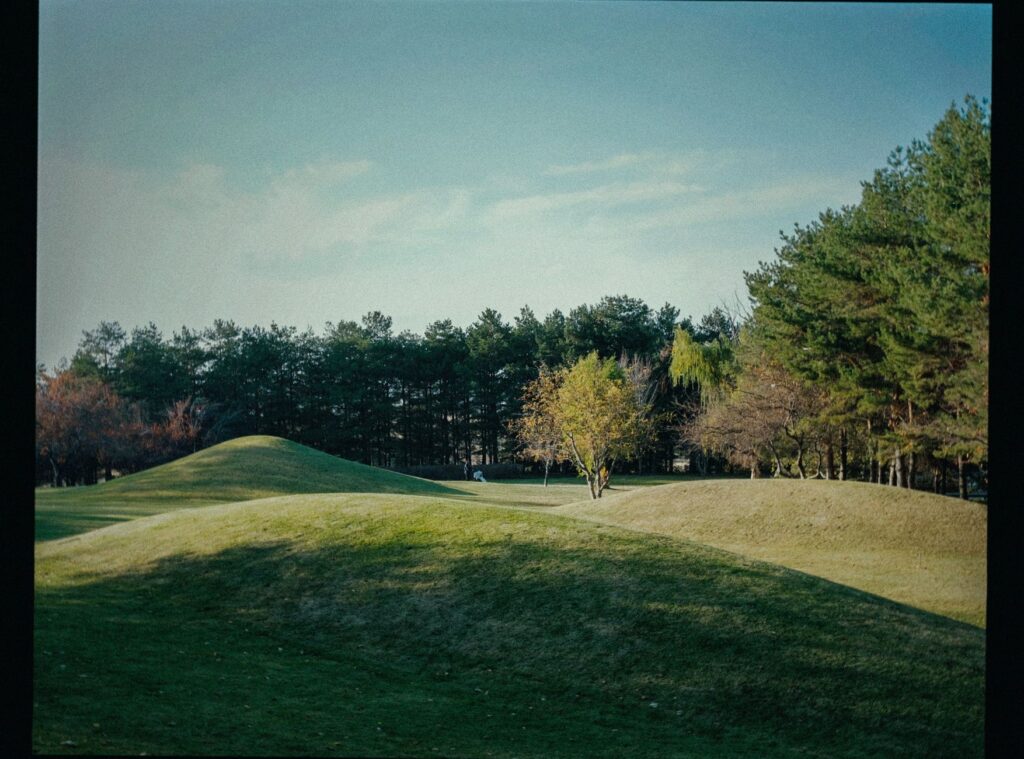 A scenic view of a beginner-friendly golf course with rolling hills. — beginner golf courses
