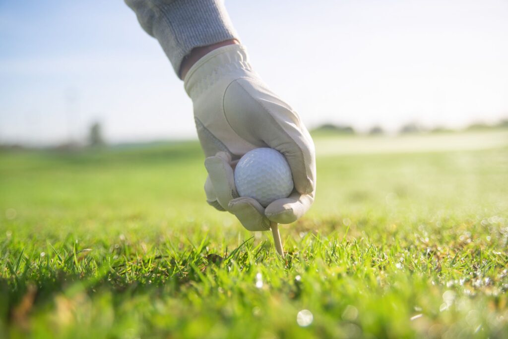 A selection of golf accessories including tees, gloves, and balls. — golf gear Dungeness
