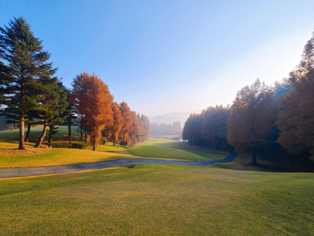 Pictures of the course in different seasons to show its beauty year-round. — Dungeness Golf course reviews