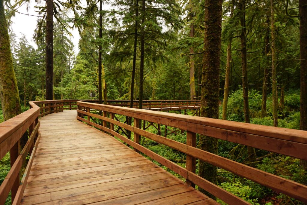 Scenic hiking trails near Dungeness with lush greenery — Dungeness golf local attractions