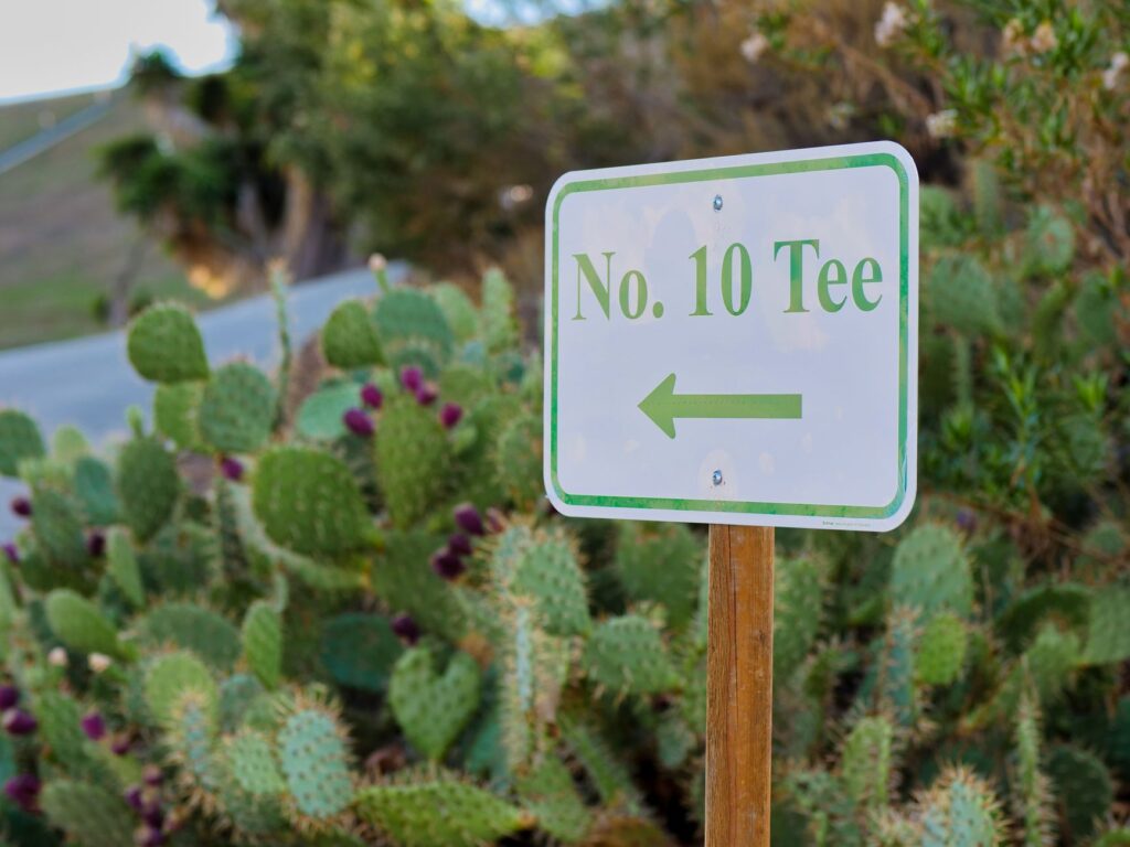 10. Dungeness Golf Tour Series — Dungeness golf tournaments 2026