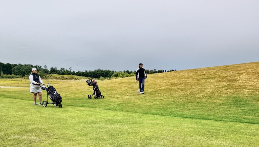 A golfer assessing the course conditions before taking a shot. — golf shot selection