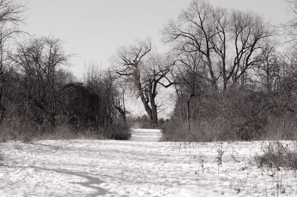 A peaceful winter landscape of Dungeness Golf with snow lightly covering the ground. — best time to visit Dungeness Golf