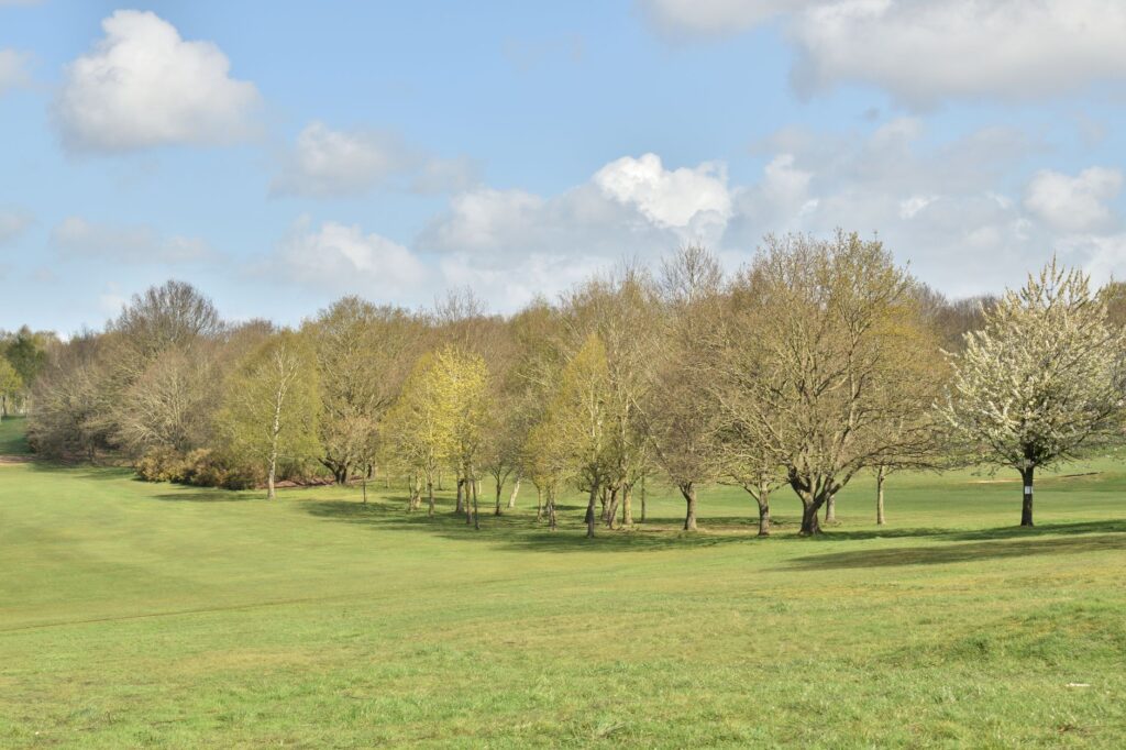 A vibrant spring golf course in Dungeness with blooming flowers — Dungeness golfing tips