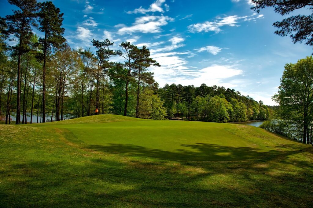 Close-up of a well-maintained putting green at a Dungeness golf course. — golf courses in Dungeness
