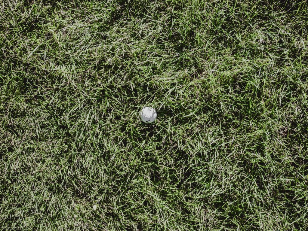 Close-up of the lush greens and fairways at Dungeness — Dungeness golf course reviews