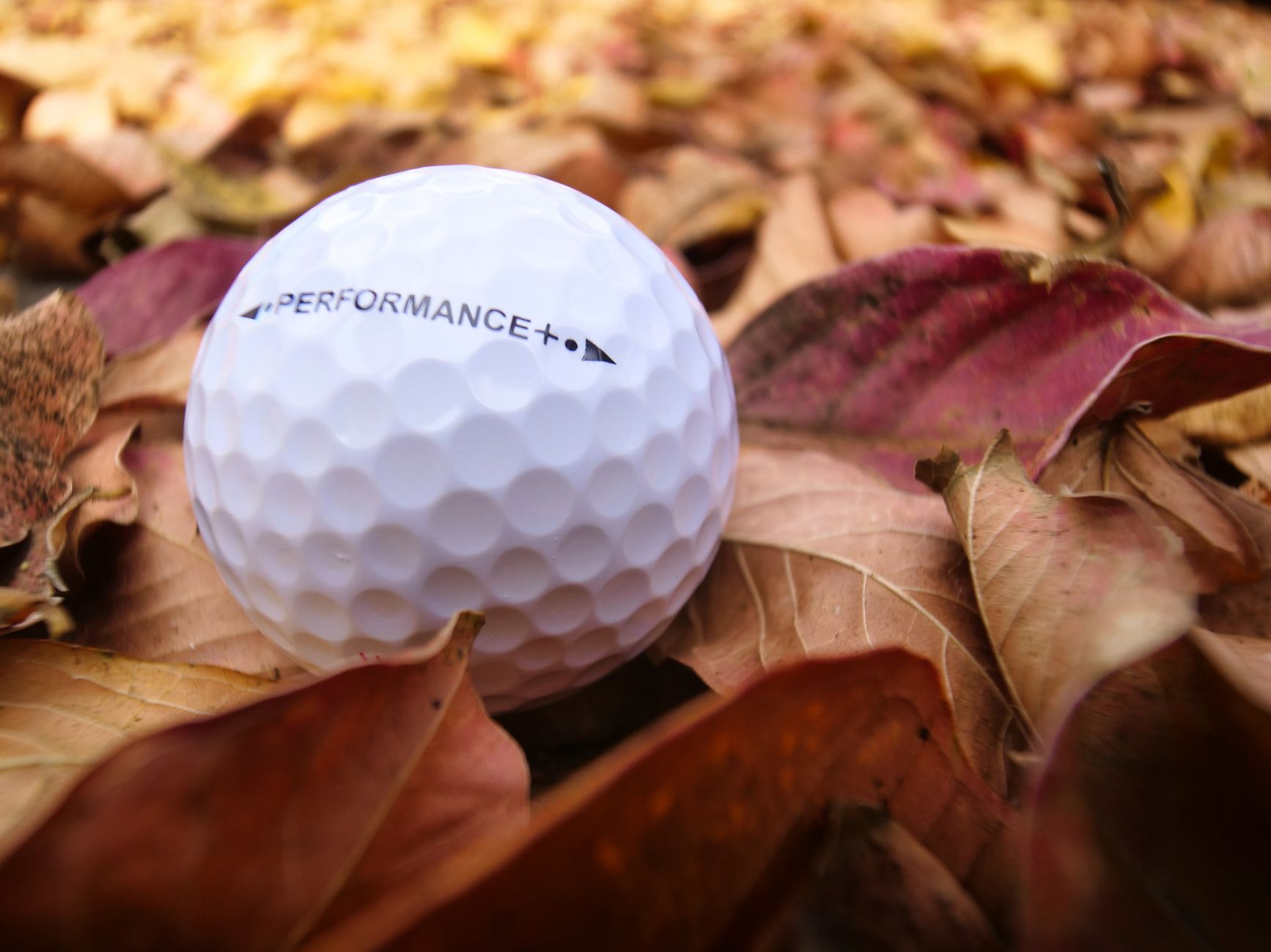 golfing Dungeness fall benefits