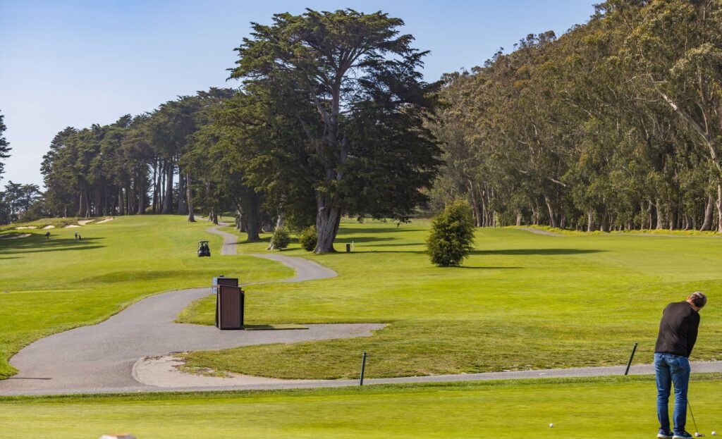 Summer scene featuring a sunny golf course in Dungeness, showcasing the best times to play golf Dungeness with blue skies and vibrant greens.