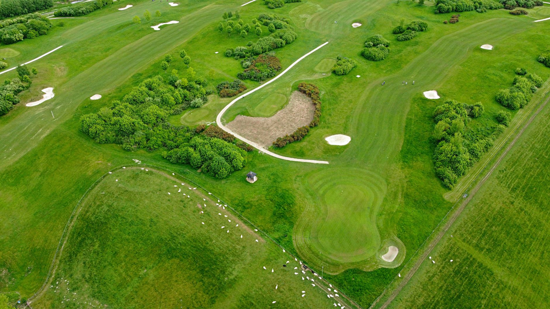 environmental impact golf courses Dungeness