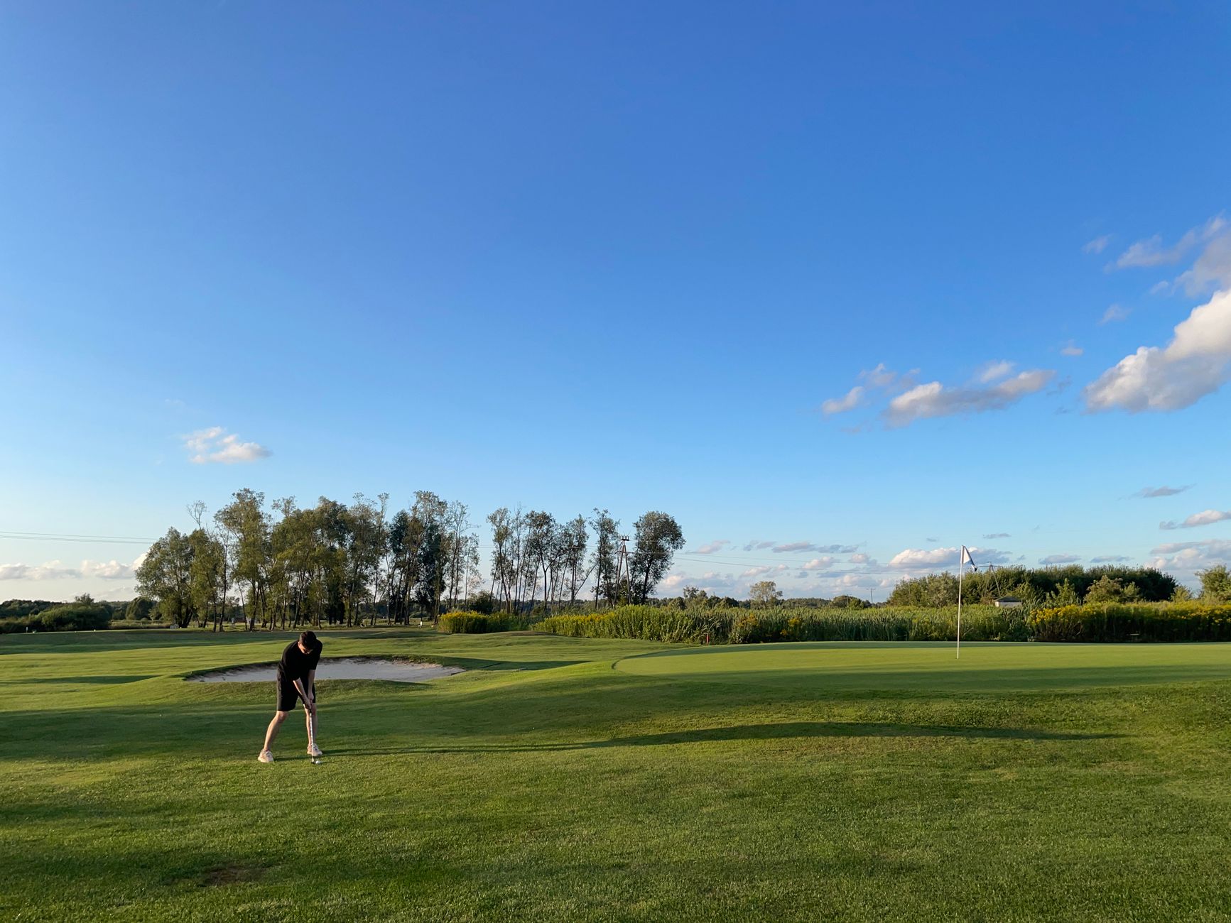 Dungeness golf courses
